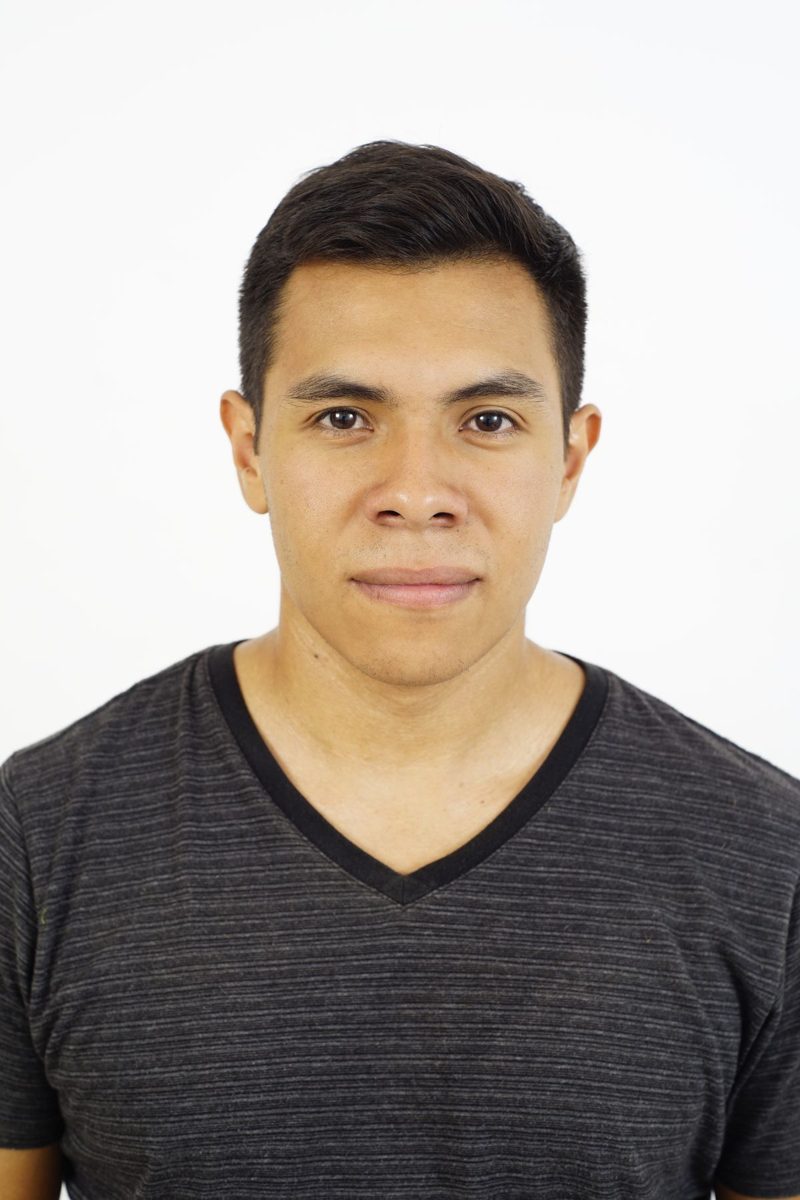 Original portrait: a young man with short dark hair in a dark grey striped V-neck T-shirt, facing the camera against a white wall, with space above his head